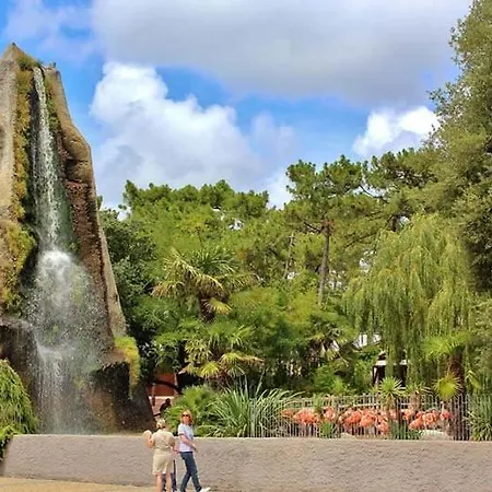 La Palmyre - Petite Mitoyenne -piscine Collective- Proche Centre Les Mathes