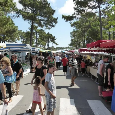 La Palmyre - Petite Mitoyenne -piscine Collective- Proche Centre