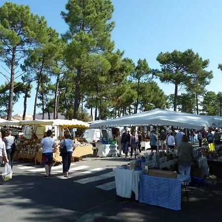La Palmyre - Petite Mitoyenne -piscine Collective- Proche Centre شقة *
